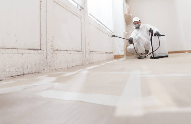24/7 Emergency Mold Remediation experts in Thompson's Station, TN