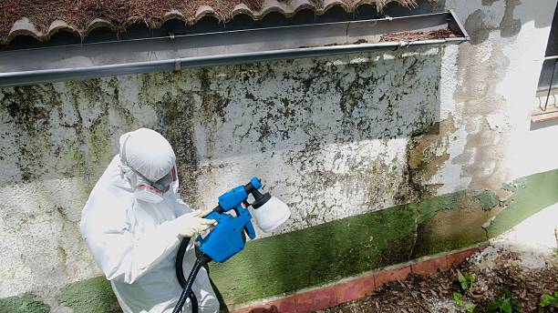 Top rated local Mold Remediation specialists in Thompson's Station, TN